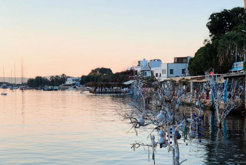 Azure Wellness Retreat (Adults Only) Hotel Turgutreis Bagian luar foto
